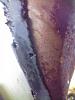 Body work-wp_001714.jpg