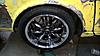 Body work-new-hides-2.jpg