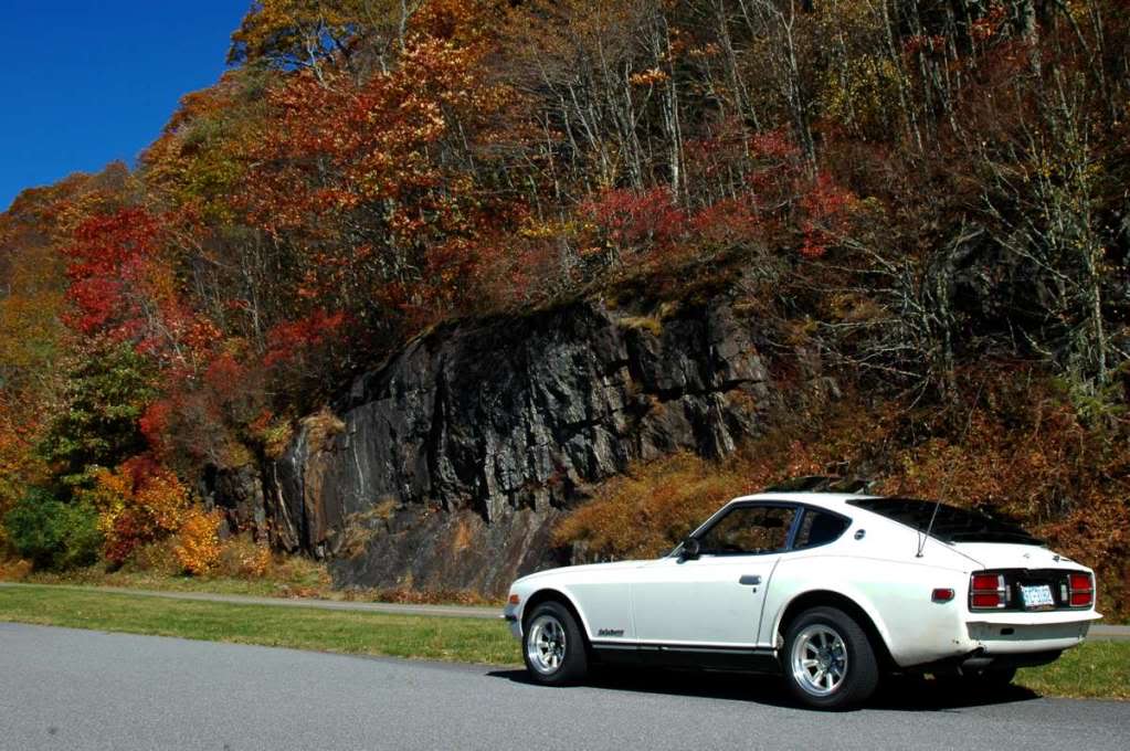 Name:  DSC_0093-1200-1.jpg
Views: 1167
Size:  111.7 KB