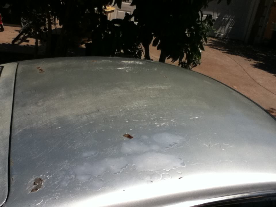 Name:  IMG_0126.jpg
Views: 164
Size:  65.7 KB