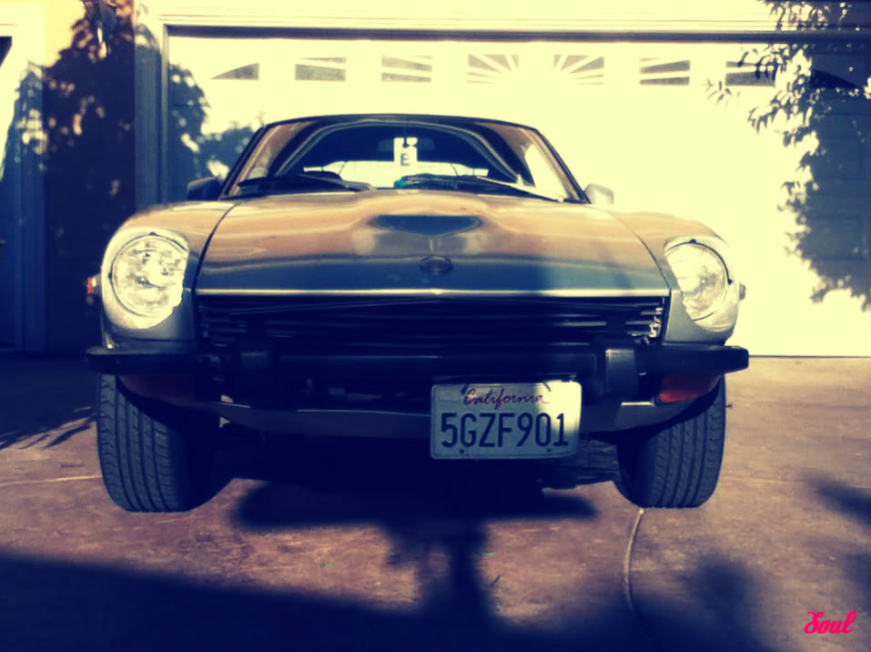 Name:  IMG_0179-1.jpg
Views: 116
Size:  94.2 KB