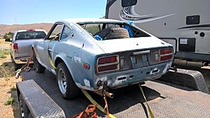 Body work-new-z-2.jpg