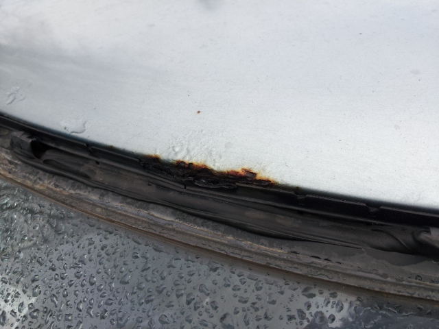 Name:  20130207_111955_zps1ba24431.jpg
Views: 2315
Size:  214.5 KB