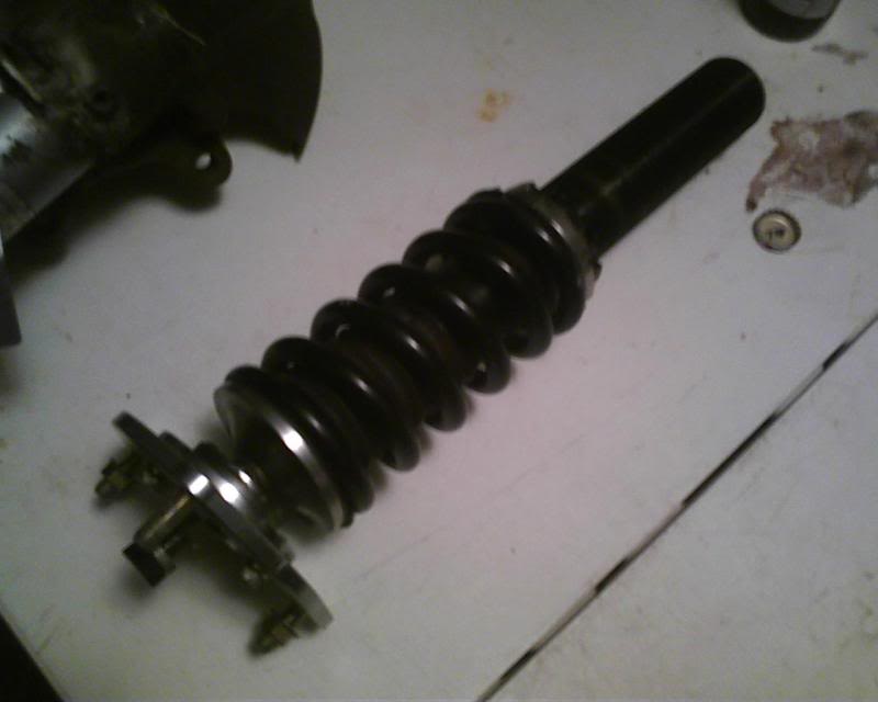 Name:  Photo02061840_2.jpg
Views: 2383
Size:  28.0 KB