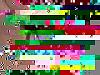 Lsd!-dscn0990.jpg