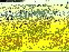 have a trany question-trans3.jpg