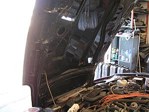 Color on a 1982 280zx Turbo Help!-p1010012.jpg