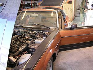 Color on a 1982 280zx Turbo Help!-p1010013.jpg