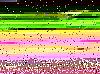 Gold Zx-stuff-fror-sale-004.jpg