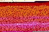 Springs? And Things-burtrany-coolerfix.jpg