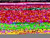Turbo'd the N/A-mvc-893s.jpg