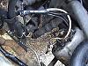 WreckedJ30's Z31T ecu conversion-dsc00398.jpg