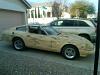 lipstick on a pig-las-vegas-20120115-00077.jpg