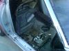 lipstick on a pig-las-vegas-20120114-00068.jpg