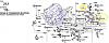 Auto Trans What is this called?-vibration-damper-replacement-bushing.jpg