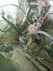 86 Project INTRO-mini-right-20140605_135333.jpg