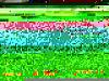120,000 Mile Service-intake-cam-sprocket-timing-marks.jpg