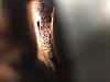 Rust on the internal water passages of my block  after machine work-img_1227.jpg