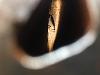 Rust on the internal water passages of my block  after machine work-img_1220.jpg