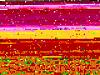 POLL: Favorite Chassis Type-dsc00700.jpg
