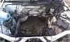 Want to do TT Swap-326.jpg