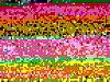 How to make the N/A Faster?? swap mass merge thread-100_0154small.jpg