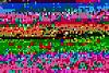 New Member-2.jpg