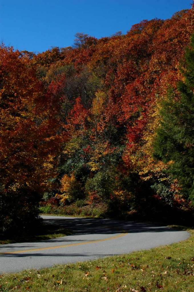 Name:  DSC_0112-1200.jpg
Views: 128
Size:  105.4 KB