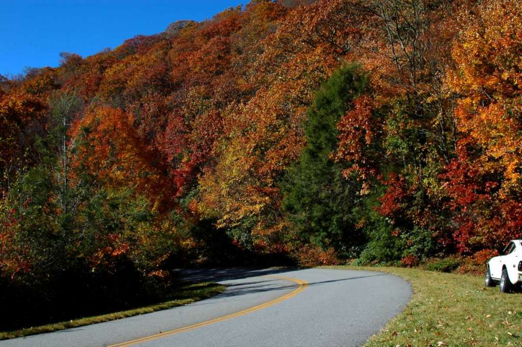 Name:  DSC_0107-1200.jpg
Views: 152
Size:  121.5 KB