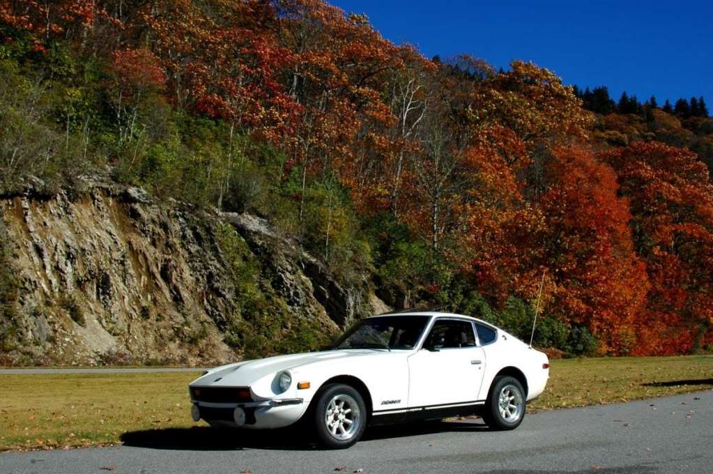 Name:  DSC_0104-1200.jpg
Views: 134
Size:  112.7 KB