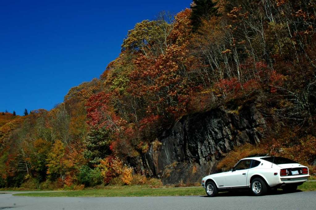 Name:  DSC_0094-1200-1.jpg
Views: 127
Size:  97.5 KB