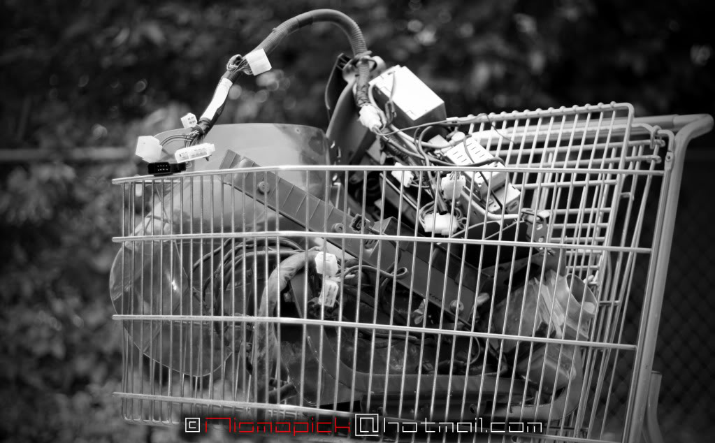 Name:  IMG_8938copy.jpg
Views: 710
Size:  128.4 KB