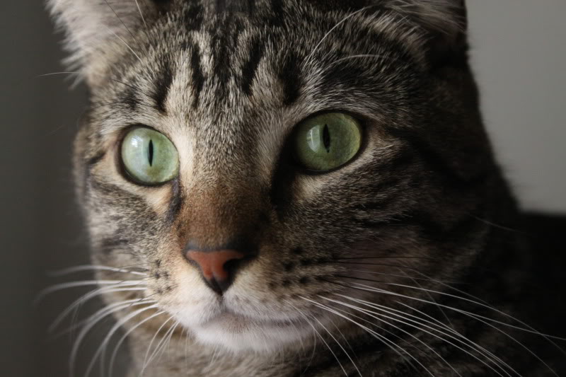 Name:  IMG_1903.jpg
Views: 204
Size:  95.3 KB