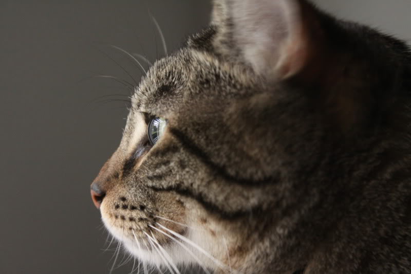 Name:  IMG_1899.jpg
Views: 205
Size:  62.4 KB