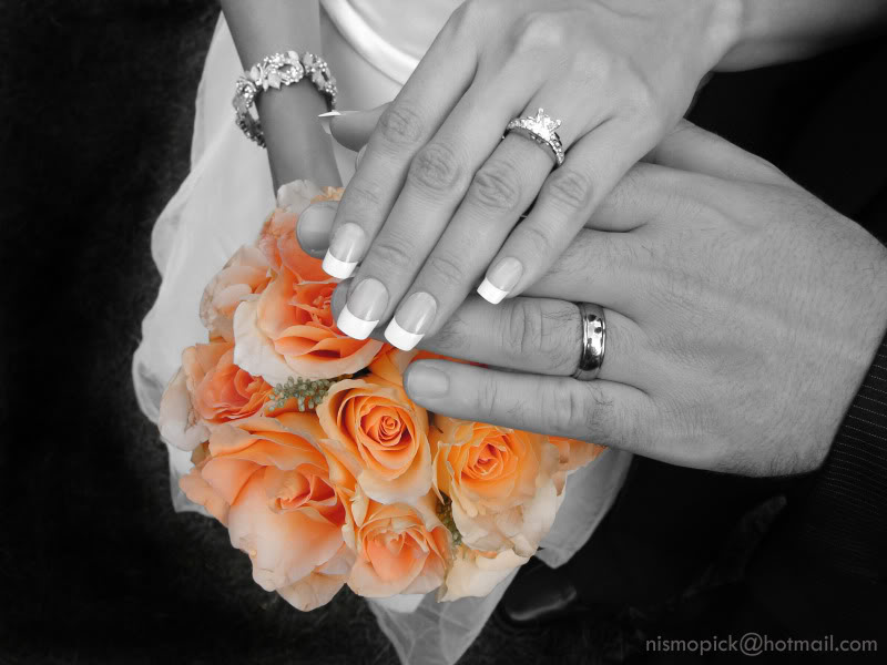 Name:  DSC09093desatemail.jpg
Views: 143
Size:  69.3 KB