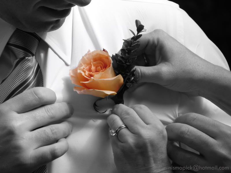 Name:  DSC08992desat2email.jpg
Views: 210
Size:  63.7 KB