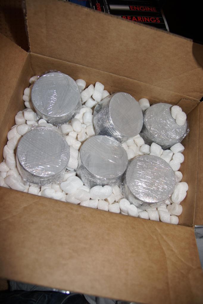 Name: DSC02334_zpsa6fb6689.jpg
Views: 1080
Size: 74.5 KB