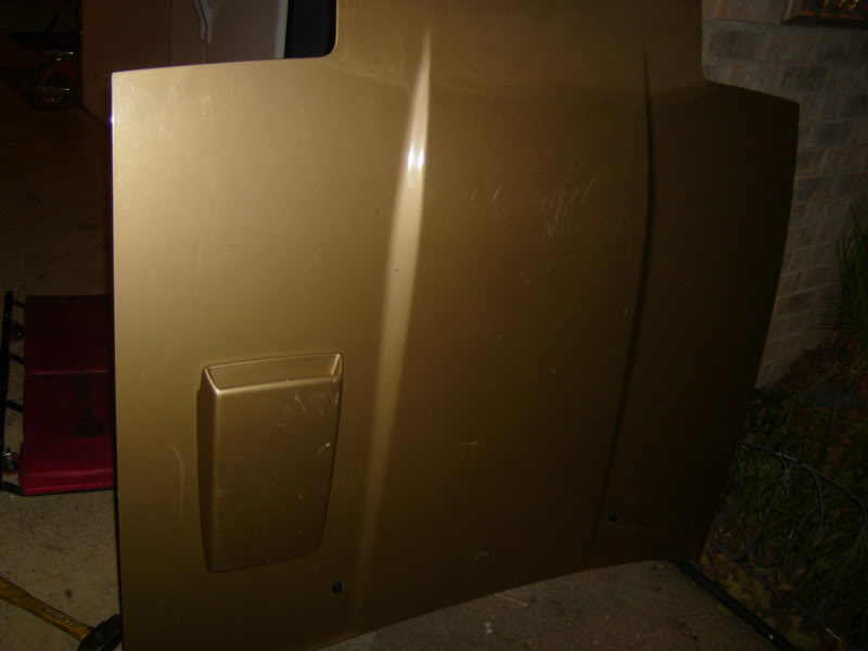 Name: S7001009.jpg
Views: 46
Size: 29.6 KB
