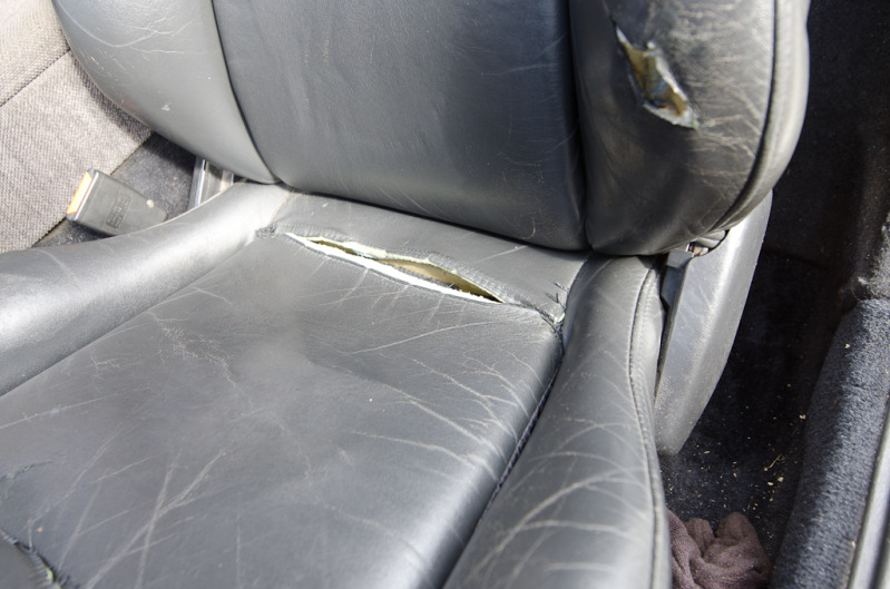 Name:  DSC_9251.jpg
Views: 47
Size:  135.0 KB