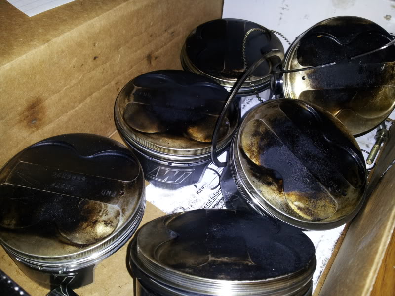 Name:  20121008_112255.jpg
Views: 188
Size:  100.2 KB