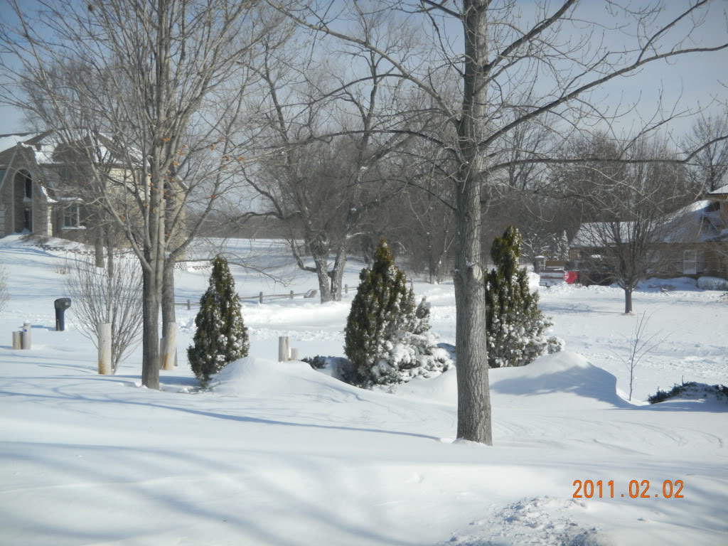 Name: 171d8611.jpg
Views: 123
Size: 171.6 KB