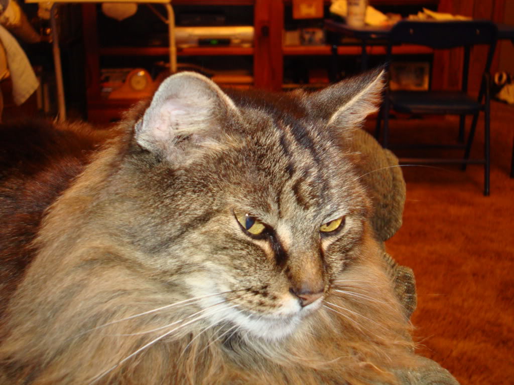 Name:  DSC00853.jpg
Views: 175
Size:  159.7 KB