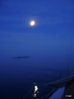 Name:  DSC03916.jpg
Views: 178
Size:  22.5 KB