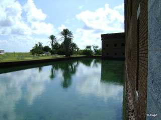 Name:  DSC04074.jpg
Views: 174
Size:  36.2 KB