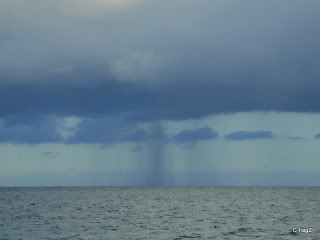 Name:  DSC04136-1.jpg
Views: 172
Size:  26.1 KB