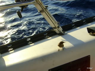 Name:  DSC04176.jpg
Views: 171
Size:  42.1 KB