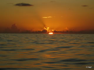 Name:  DSC04236.jpg
Views: 171
Size:  29.1 KB