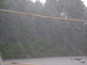 Name:  rain.jpg
Views: 186
Size:  8.6 KB