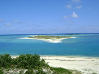 Name:  DSC04031.jpg
Views: 174
Size:  39.1 KB