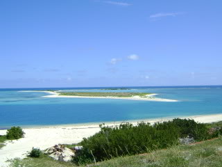 Name:  DSC04019.jpg
Views: 61
Size:  38.7 KB